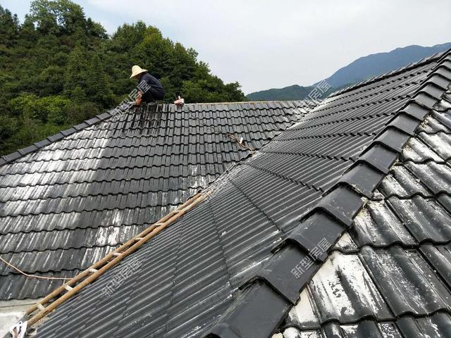 30元一平的樹脂瓦省錢又耐用？網友：吃飽沒事干，用一年就得換